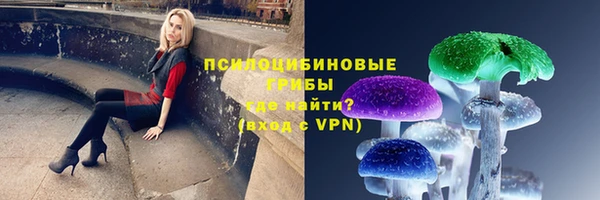 PSILOCYBIN Абдулино