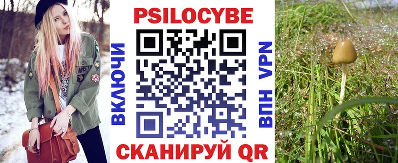 Псилоцибиновые грибы GOLDEN TEACHER  Ядрин 